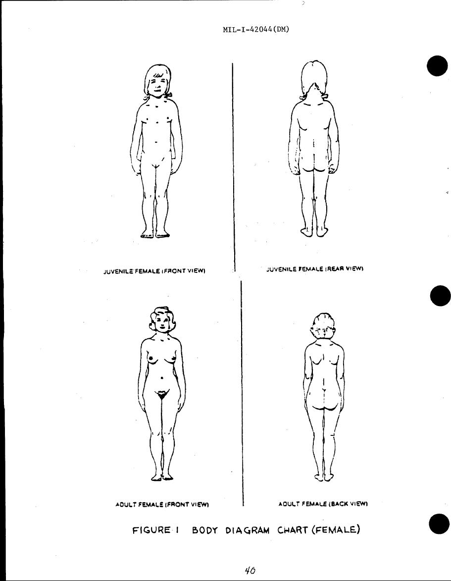 Body Chart Diagram